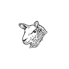 EQL